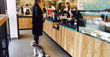 Kutyabarát gyorsétterem a Széll Kálmánon Kutyával a PRE-GO-ban