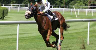 lóversenyzés közben lóversenyzés