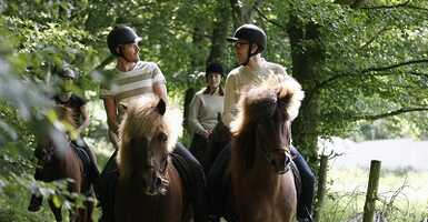 Céges csapatépítő rendezvény 