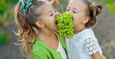 Hosszú hétvége vidéken