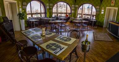 Terembérlés a Városligetben 