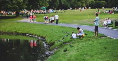 Legjobb közös programok családoknak