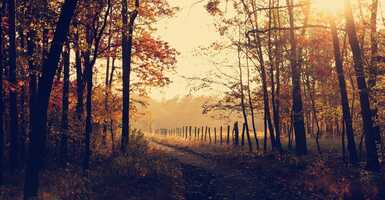 Bemutatjuk a legjobb romantikus őszi programokat! 