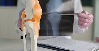 Őszi kivizsgáltatások Őszi kivizsgáltatások